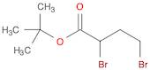 Butanoic acid, 2,4-dibromo-, 1,1-dimethylethyl ester