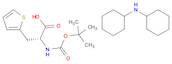Dicyclohexylamine (R)-2-((tert-butoxycarbonyl)amino)-3-(thiophen-2-yl)propanoate