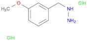 3-METHOXYBENZYLHYDRAZINEDIHYDROCHLORIDE