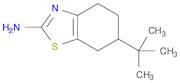 2-Amino-6-tert-butyl-4,5,6,7-tetrahydrobenzothiazole