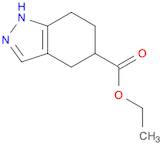 Ethyl 4,5,6,7-tetrahydro-1H-indazole-5-carboxylate