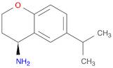 (4S)-6-(PROPAN-2-YL)-3,4-DIHYDRO-2H-1-BENZOPYRAN-4-AMINE