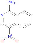 4-nitroisoquinolin-1-aMine