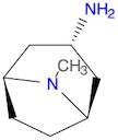 exo-8-Methyl-3-aMino-azabicyclo[3.2.1]octane