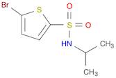 5-BroMo-thiophene-2-sulfonic acid isopropylaMide