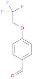 4-(2,2,2-trifluoroethoxy)benzaldehyde