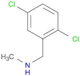 n-(2,5-dichlorobenzyl)-n-methylamine