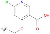 6-CHLORO-4-ETHOXYNICOTINIC ACID