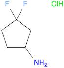 3,3-difluorocyclopentan-1-amine hydrochloride