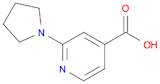 2-(Pyrrolidin-1-yl)isonicotinic acid