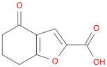 4-oxo-6,7-dihydro-5H-1-benzofuran-2-carboxylic acid
