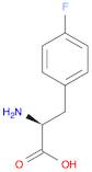 Phenylalanine, 4-fluoro-