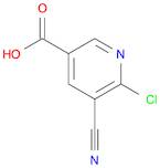 6-chloro-5-cyanopyridine-3-carboxylic acid