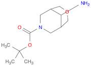 Tert-Butyl 9-Amino-3-Oxa-7-Azabicyclo[3.3.1]Nonane-7-Carboxylate