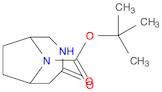 tert-Butyl 3-oxo-4,9-diazabicyclo[4.2.1]nonane-9-carboxylate