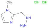 2-(Hydrazinylmethyl)-1-methyl-1h-imidazole dihydrochloride