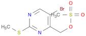 (5-Bromo-2-(Methylthio)Pyrimidin-4-Yl)Methyl Methanesulfonate