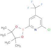 2-Chloro-4-(trifluoromethyl)pyridine-2-boronic acid pinacol ester