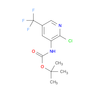 tert-Butyl 2-chloro-5-(trifluoromethyl)pyridin-3-ylcarbamate