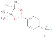 1,3,2-Dioxaborolane, 4,4,5,5-tetramethyl-2-[4-(trifluoromethyl)phenyl]-