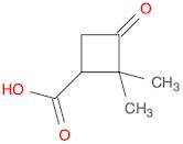 Cyclobutanecarboxylicacid, 2,2-dimethyl-3-oxo-