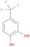 1,2-Benzenediol, 4-(trifluoromethyl)-