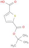 2,5-Thiophenedicarboxylic acid, mono(1,1-dimethylethyl) ester