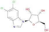 1H-Benzimidazole, 5,6-dichloro-1-b-D-ribofuranosyl-