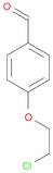 Benzaldehyde, 4-(2-chloroethoxy)-