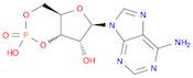 Adenosine, cyclic 3',5'-(hydrogen phosphate)