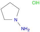 Pyrrolidin-1-amine hydrochloride