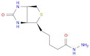 1H-Thieno[3,4-d]imidazole-4-pentanoic acid, hexahydro-2-oxo-,hydrazide, (3aS,4S,6aR)-
