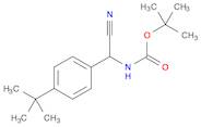 Tert-Butyl N-[(4-Tert-Butylphenyl)(Cyano)Methyl]Carbamate