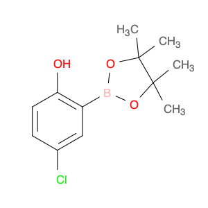 Phenol, 4-chloro-2-(4,4,5,5-tetramethyl-1,3,2-dioxaborolan-2-yl)-