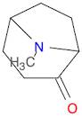 8-Azabicyclo[3.2.1]octan-2-one, 8-methyl-