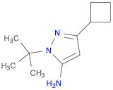 1H-Pyrazol-5-amine, 3-cyclobutyl-1-(1,1-dimethylethyl)-