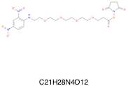 1-(2,4-Dinitrophenylamino)-3,6,9,12-tetraoxapentadecanoic acid succinimidyl ester