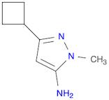 1H-Pyrazol-5-amine, 3-cyclobutyl-1-methyl-