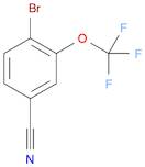 4-Bromo-3-(trifluoromethoxy)benzonitrile