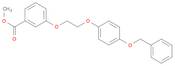 methyl 3-{2-[4-(benzyloxy)phenoxy]ethoxy}benzoate