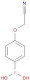 4-Cyanomethoxyphenylboronic acid