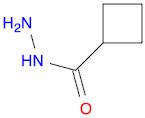 Cyclobutanecarboxylic acid, hydrazide