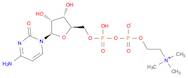 Cytidine 5'-(trihydrogen diphosphate), P'-[2-(trimethylammonio)ethyl]ester, inner salt