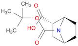 7-Azabicyclo[2.2.1]heptane-2,7-dicarboxylic acid, 7-(1,1-dimethylethyl)ester, (1R,2S,4S)-rel-
