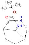 Carbamic acid, (8-syn)-3-azabicyclo[3.2.1]oct-8-yl-, 1,1-dimethylethylester