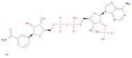 β-Nicotinamide adenine dinucleotide phosphate sodium salt hydrate