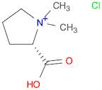 Pyrrolidinium, 2-carboxy-1,1-dimethyl-, chloride, (S)-