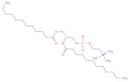 1,2-Didodecanoyl-sn-glycero-3-phosphocholine