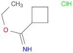 Cyclobutanecarboximidic acid, ethyl ester, hydrochloride