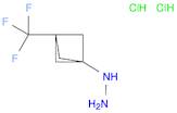[3-(trifluoromethyl)bicyclo[1.1.1]pentan-1-yl]hydrazine dihydrochloride